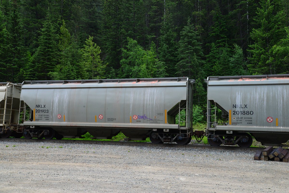 DSC_2049.JPG