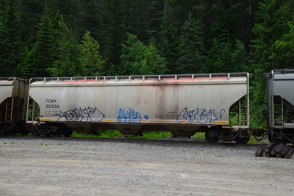 DSC_2050.JPG
