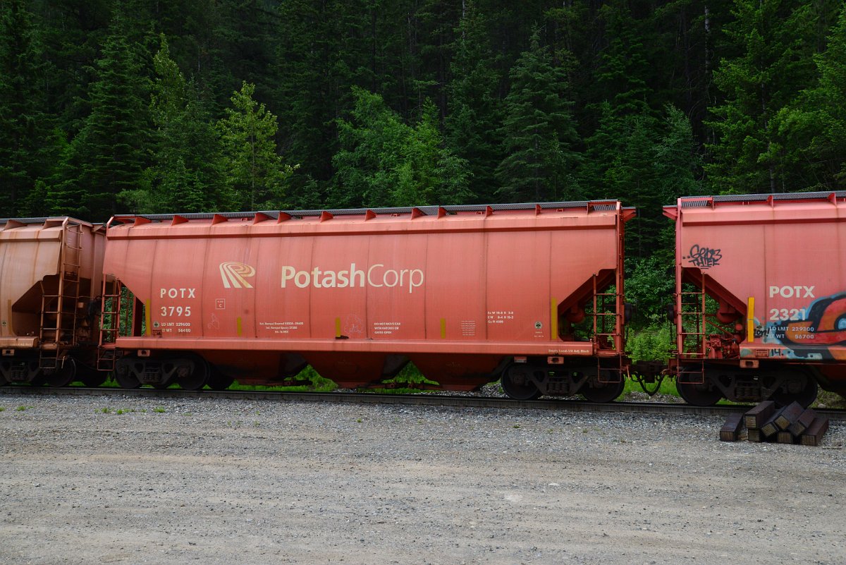 DSC_2073.JPG