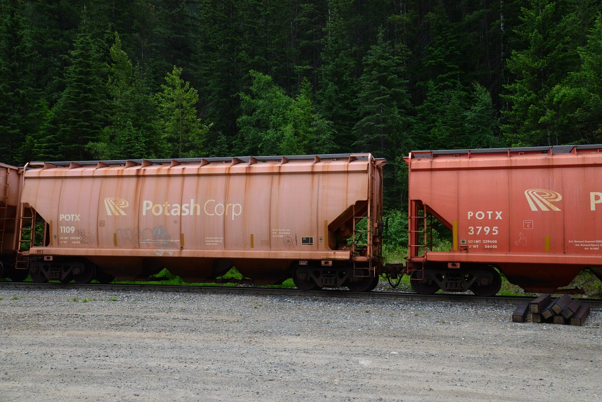 DSC_2074.JPG