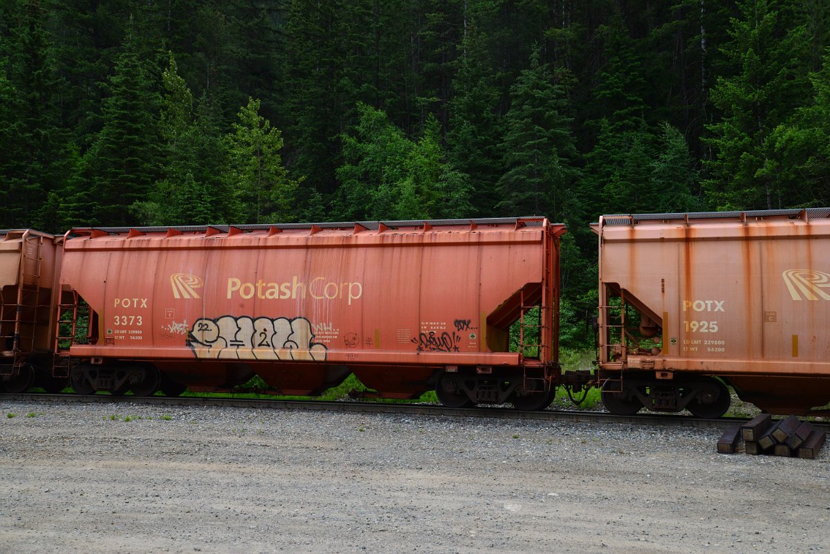 DSC_2076.JPG