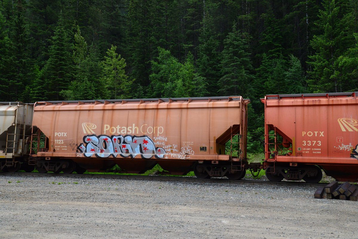 DSC_2077.JPG