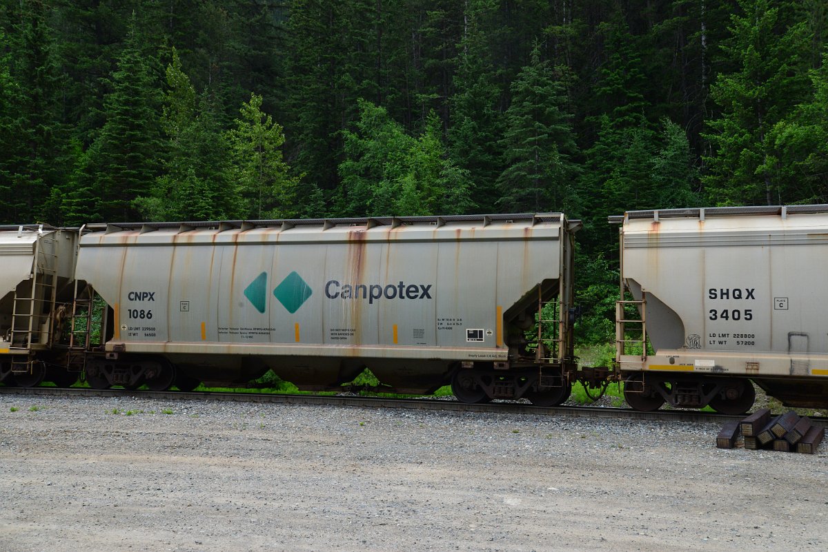 DSC_2079.JPG