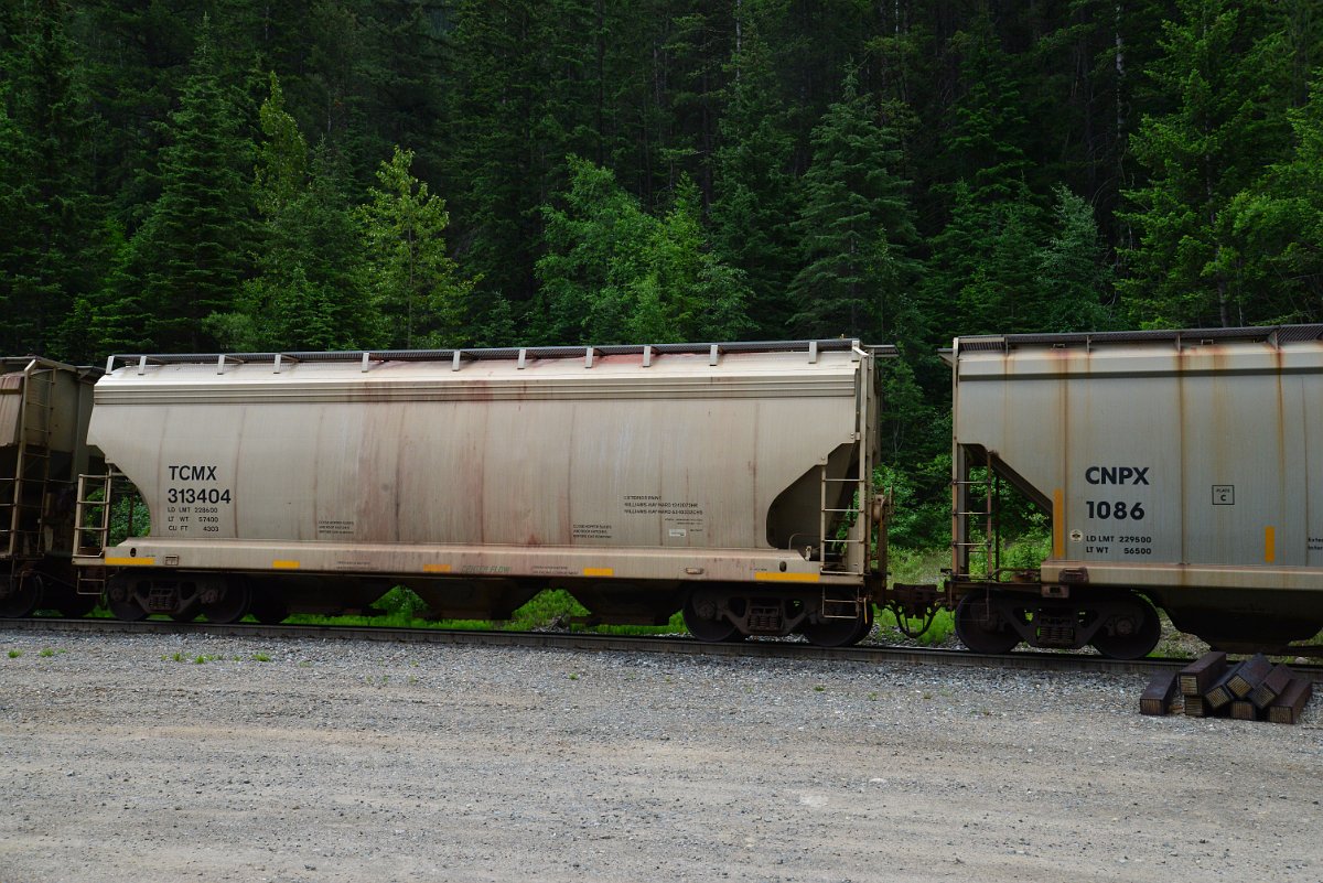 DSC_2080.JPG