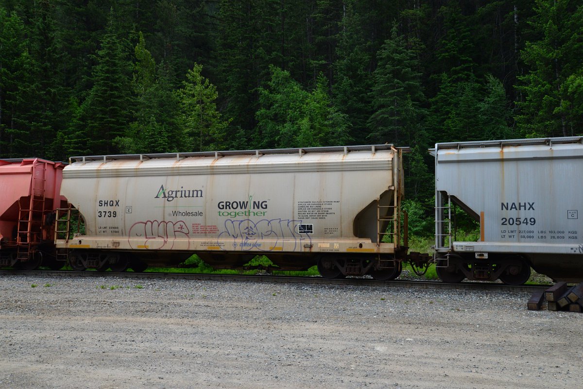DSC_2085.JPG