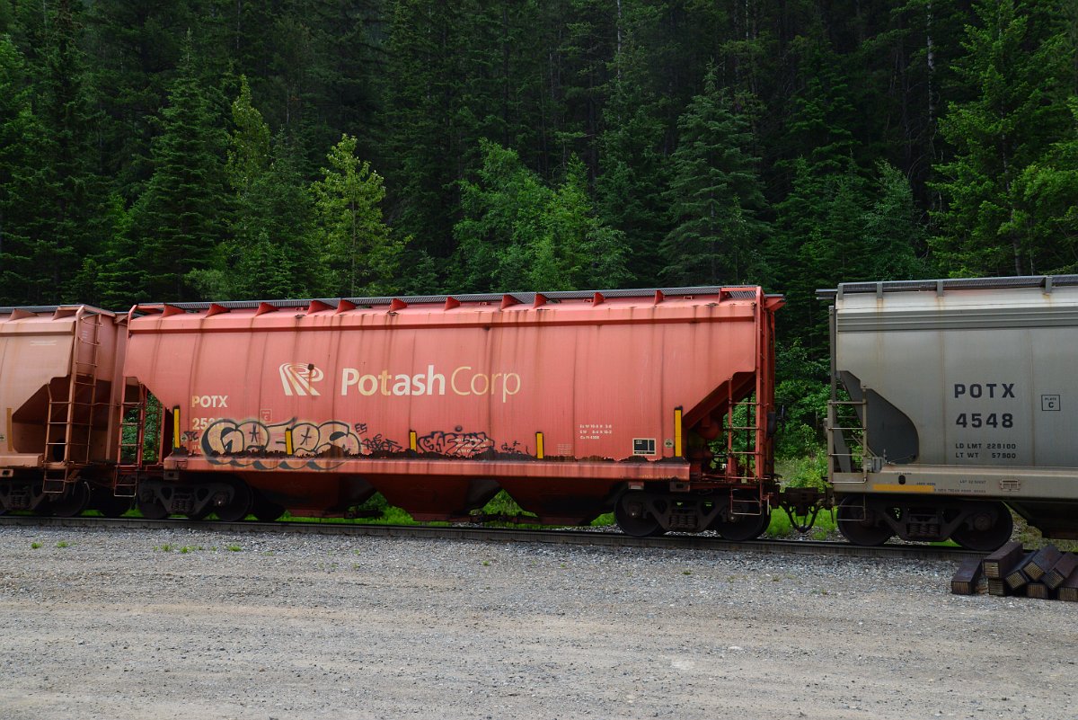DSC_2088.JPG