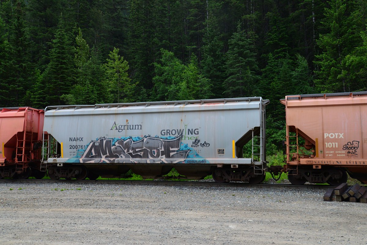 DSC_2090.JPG