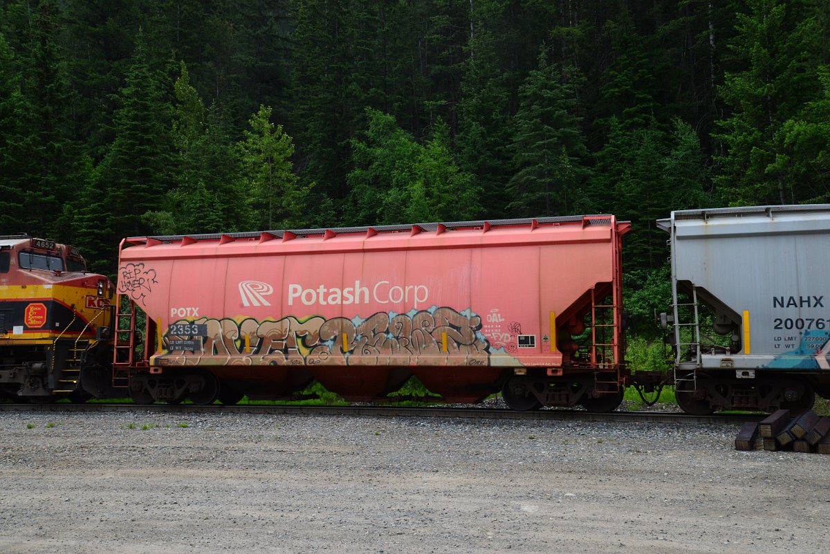 DSC_2091.JPG