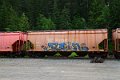 DSC_1917