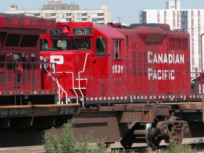 CP1531_1.jpg