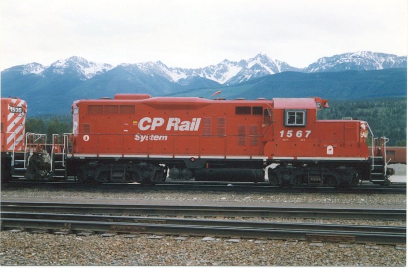 CP1567_1.jpg