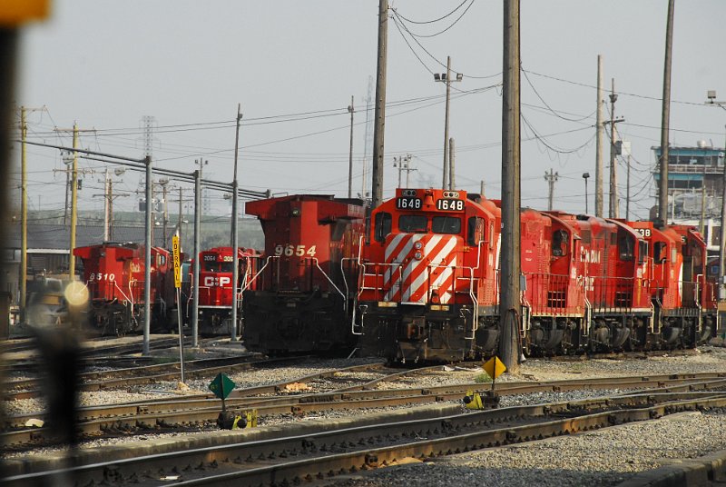 DSC_3734.jpg