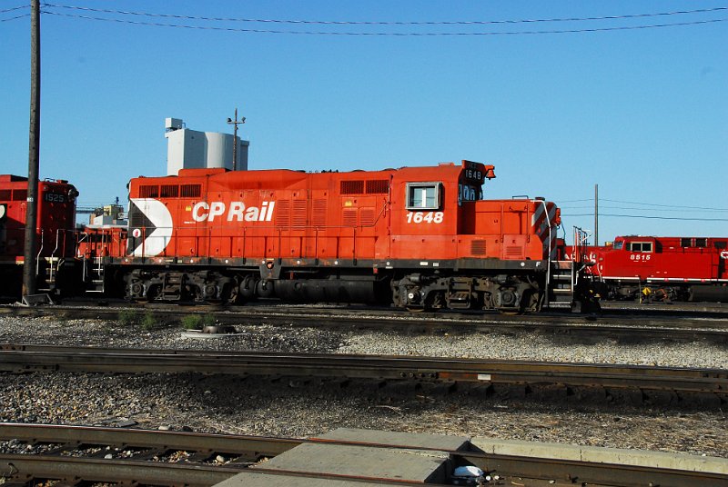 DSC_3812.jpg