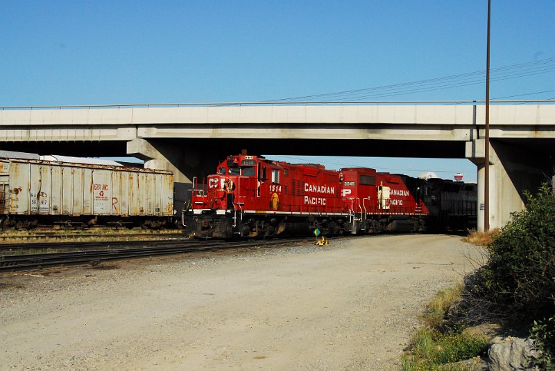 DSC_3878.JPG