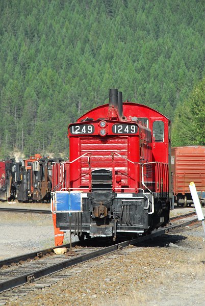 DSC_4206.JPG
