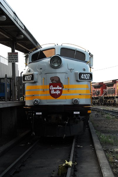 DSC_3694.JPG