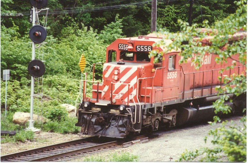 CP5556_1.jpg