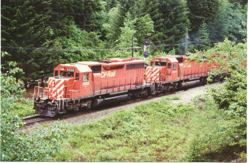 CP5556_2.jpg