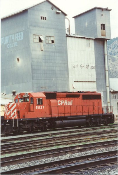 CP5827_1.jpg