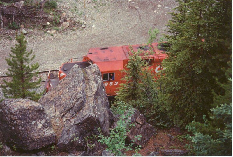 CP5953_1.jpg