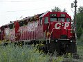 CP5494_2