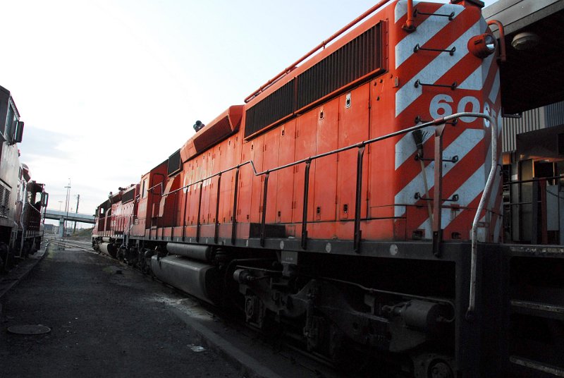 DSC_3781.jpg