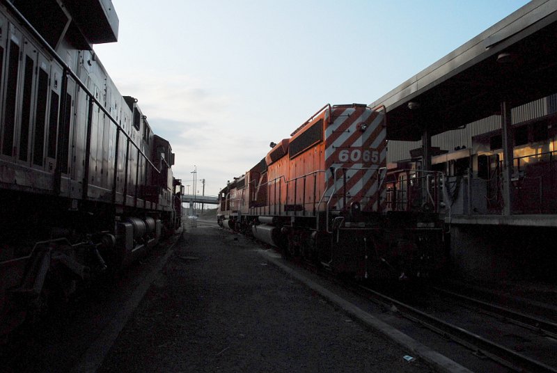DSC_3782.jpg