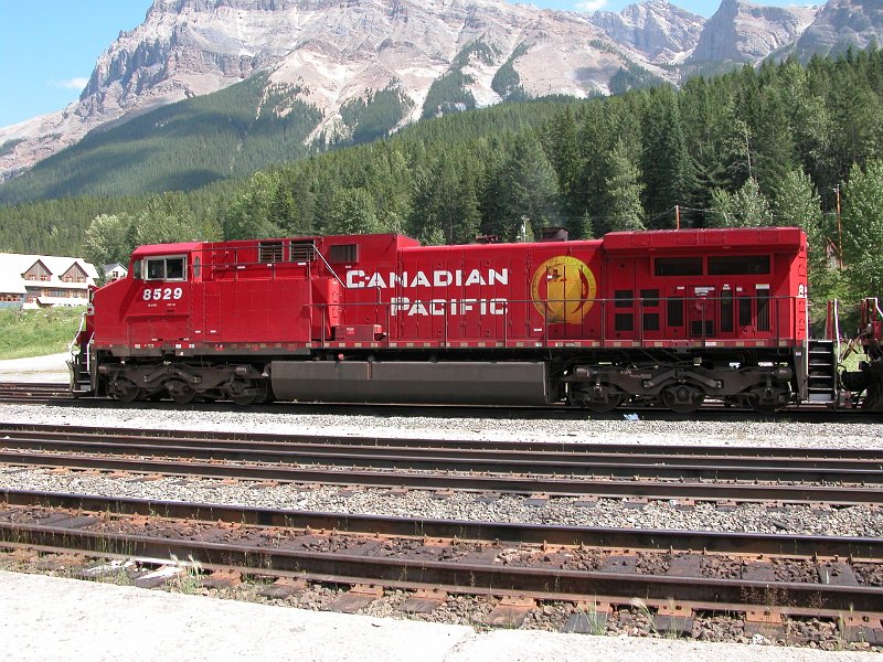 CP8529_1.jpg