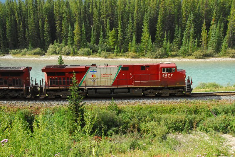 DSC_4095.JPG