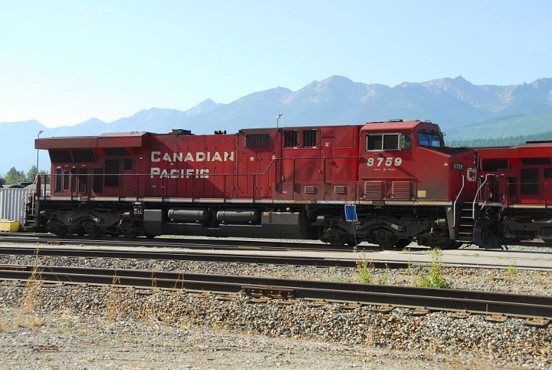DSC_4219.JPG