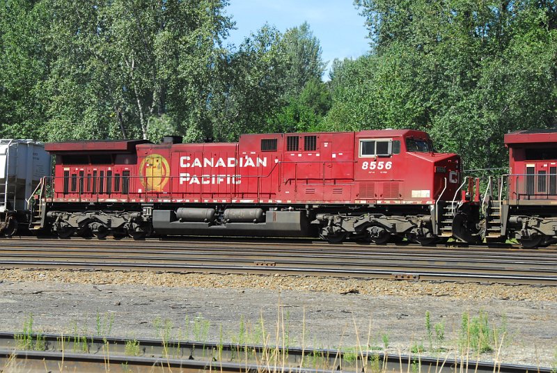 DSC_4251.JPG