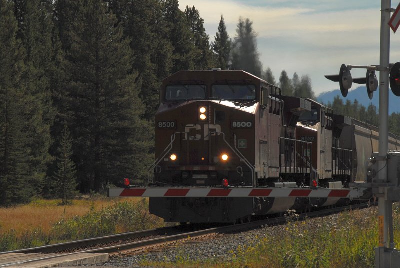 DSC_6883.JPG