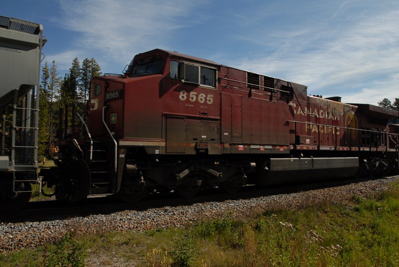 DSC_6970.JPG