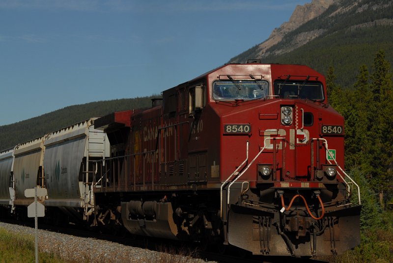 DSC_7059.JPG