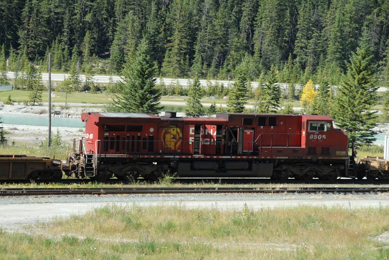 DSC_7263.JPG