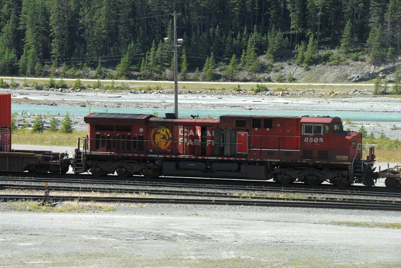 DSC_7265.JPG