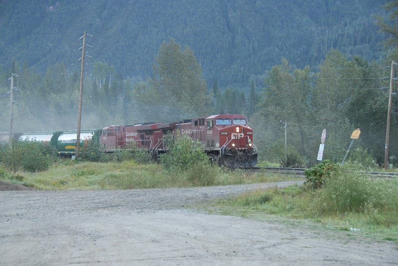 DSC_7278.JPG