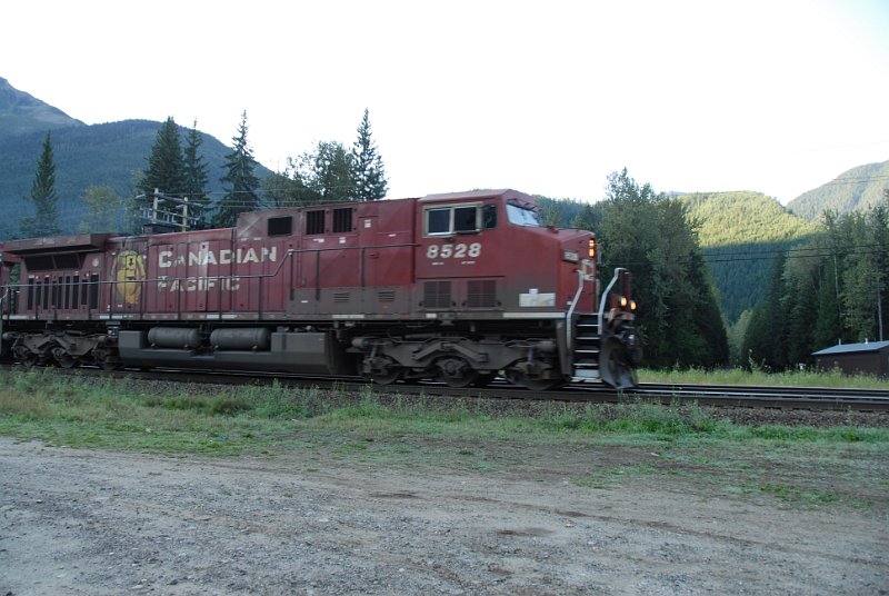 DSC_7280.JPG