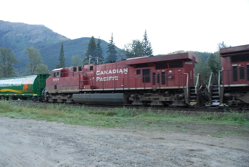 DSC_7281.JPG