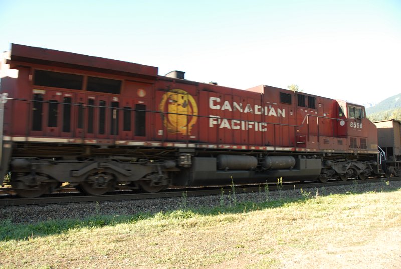 DSC_7369.JPG