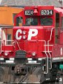 CP8204_5