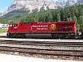 CP8529_1