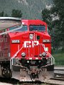 CP8575_1