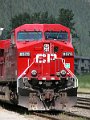 CP8575_2