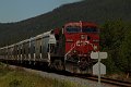 DSC_7060