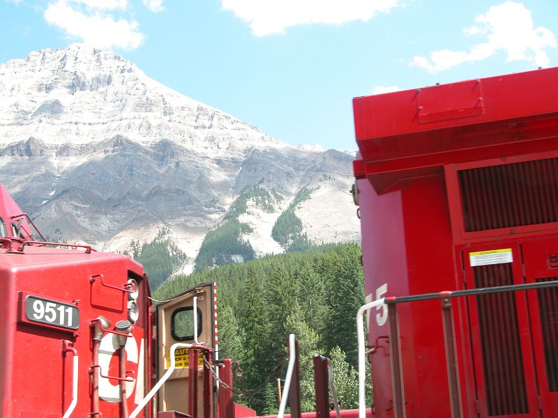 CP9511_2.jpg