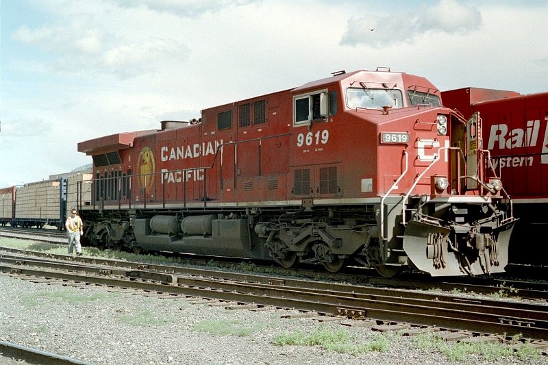 CP9619_1.jpg
