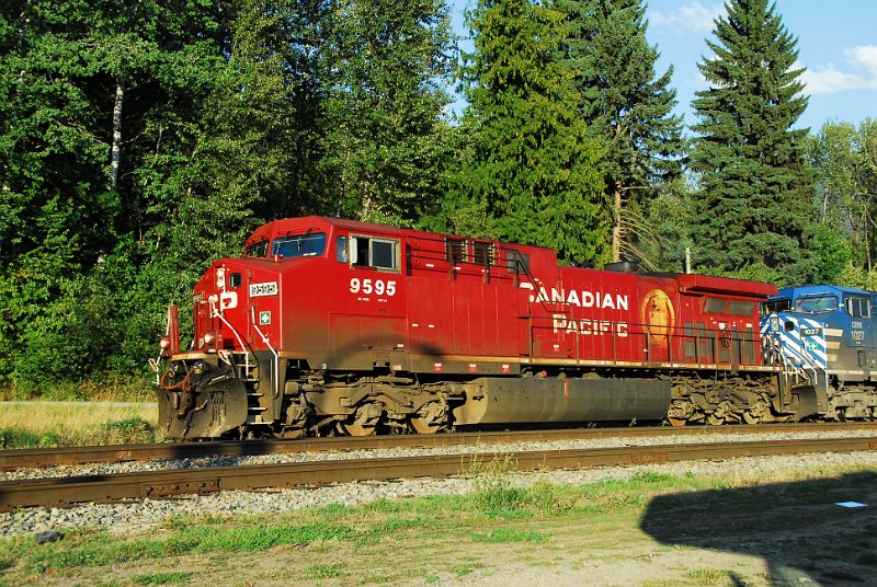 DSC_3539.JPG