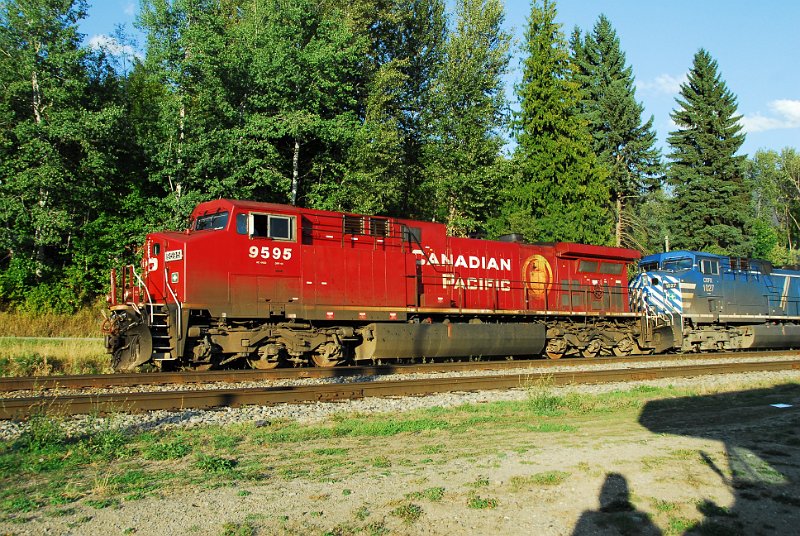 DSC_3540.JPG