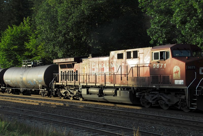 DSC_3550.JPG